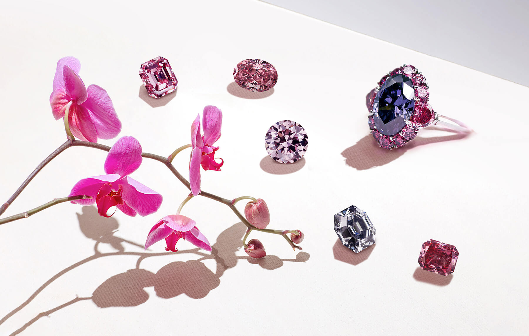 LJ West - Shaping the Future of Coloured Diamonds - Jewellery World